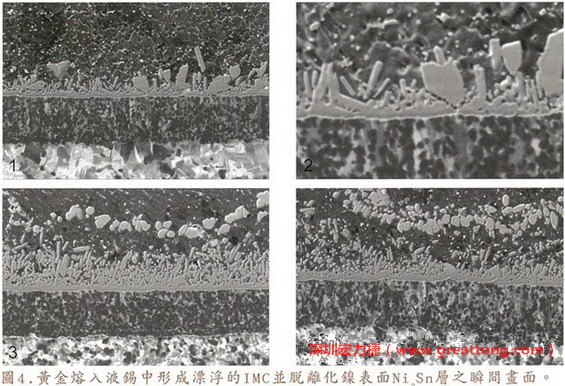 下面四張圖片為放大4500倍的SEM圖像，說明在回流焊爐熱量不足的情況下，黃金成份正要從鎳層分離融入焊錫之中的瞬間，當零件遭受外力沖擊的時候就極有可能從這一整排AuSn、、AuSn2或AuSn4的IMC處裂開。